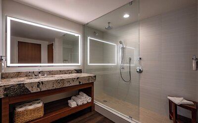 Holiday Inn New Orleans - Downtown Superdome by IHG
