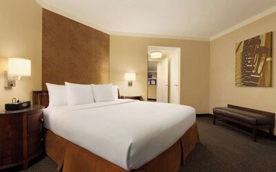 Embassy Suites by Hilton Austin Downtown South Congress
