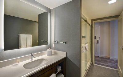 Residence Inn by Marriott New Orleans French Quarter Area/Central Business District