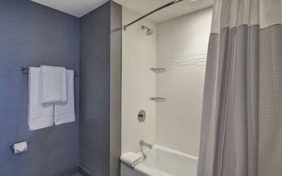 Residence Inn by Marriott New Orleans French Quarter Area/Central Business District