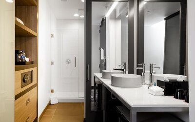 Aloft by Marriott Austin Airport