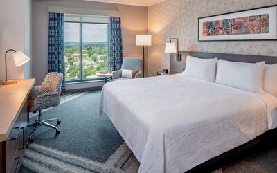 Hilton Garden Inn Austin University Capitol District