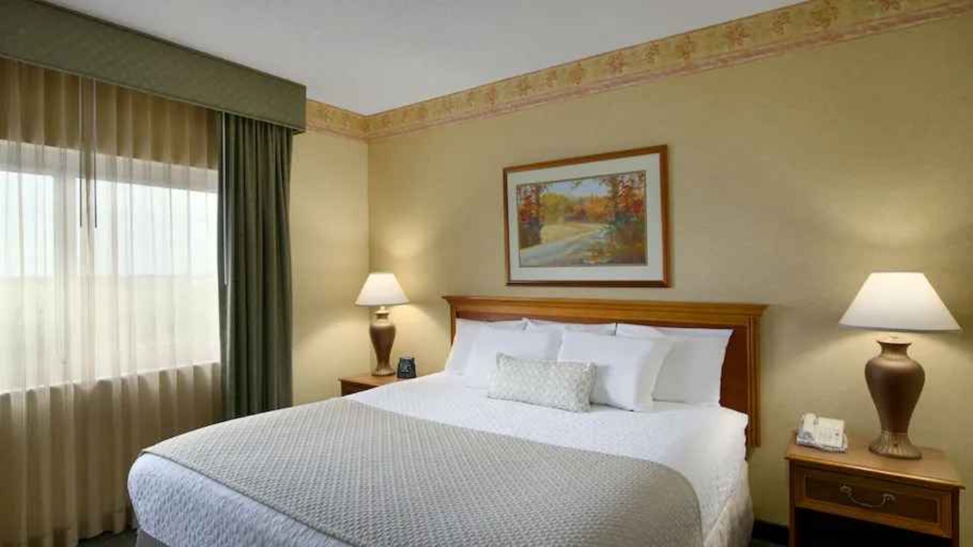 King size bed in a hotel suite with window at the Embassy Suites by Hilton Charleston Airport Convention Center.