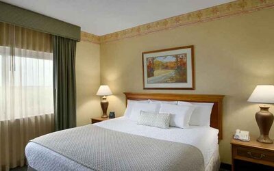 King size bed in a hotel suite with window at the Embassy Suites by Hilton Charleston Airport Convention Center.
