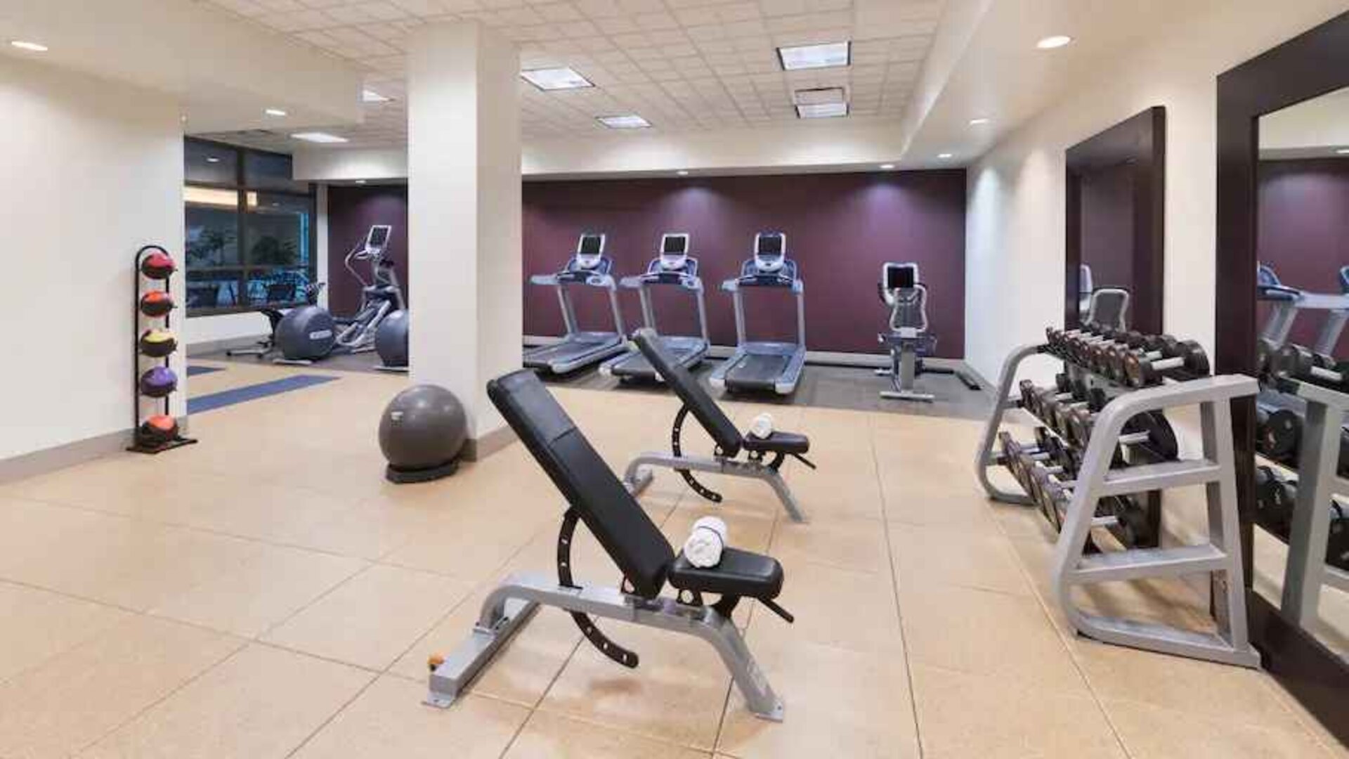 Weights and machines at the fitness center of the Embassy Suites by Hilton Nashville SE Murfreesboro.