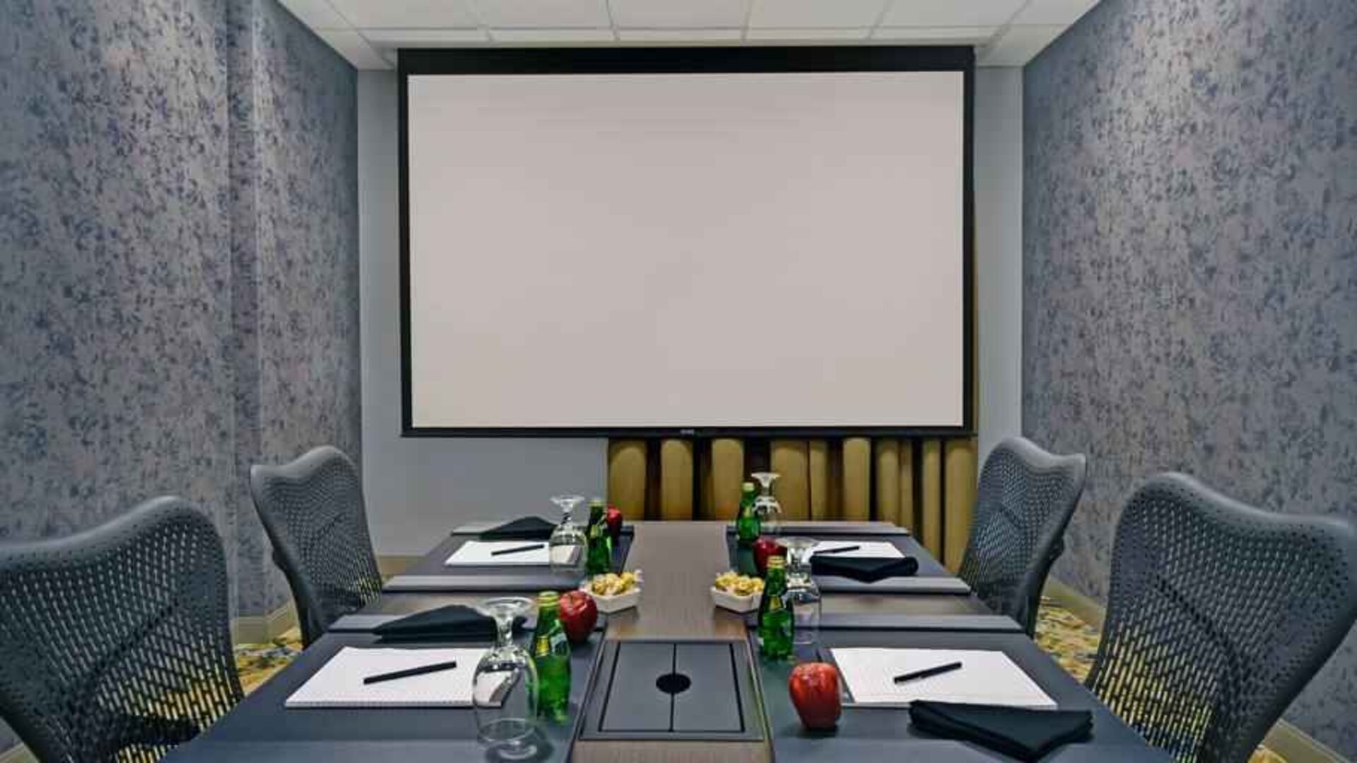 Meeting room with screen at the Hilton Garden Inn Houston Galleria Area.