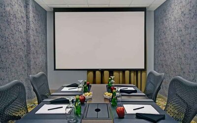 Meeting room with screen at the Hilton Garden Inn Houston Galleria Area.