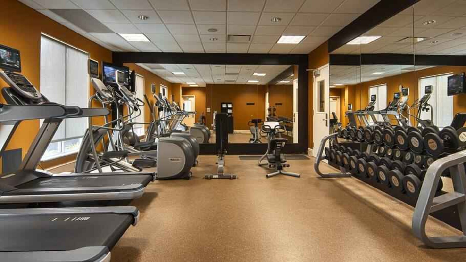 Fully equipped fitness center at the Hilton Garden Inn Houston Galleria Area.