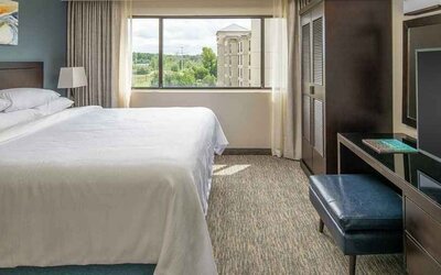 Luxurious king suite with natural light at Embassy Suites by Hilton Seattle Tacoma International Airport.