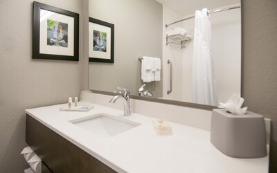 Holiday Inn New Orleans Airport North by IHG