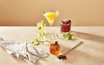 Holiday Inn New Orleans Airport North by IHG