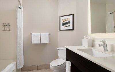 Holiday Inn Express & Suites New Orleans Airport South by IHG