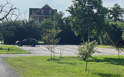 Elsa's Place Bed and Breakfast