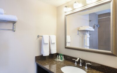 Holiday Inn Metairie New Orleans by IHG