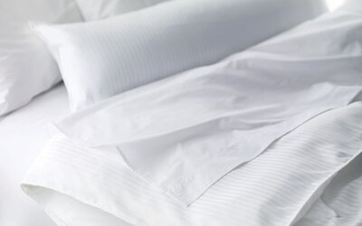 Sheraton Metairie - New Orleans Hotel