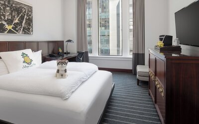 Staypineapple, An Iconic Hotel, The Loop