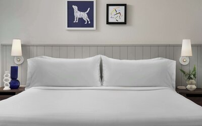 Sonesta ES Suites Chicago Downtown Magnificent Mile - Medical