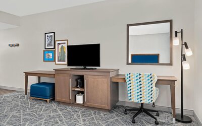 Hampton Inn Chicago North-Loyola Station