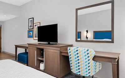 Hampton Inn Chicago North-Loyola Station