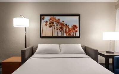 Suite, 1 King Bed