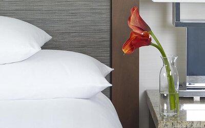 Hyatt Regency Atlanta Downtown