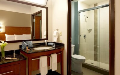 Hyatt Place Atlanta Downtown