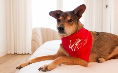 Virgin Hotel Las Vegas, Curio Collection by Hilton