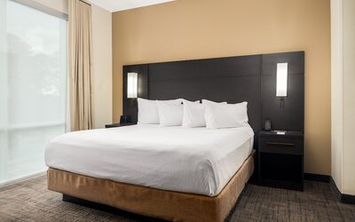Residence Inn by Marriott Decatur Emory Area