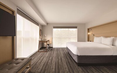 Studio Suite, 1 King Bed with Sofa bed, Accessible, Non Smoking (Roll-in Shower)