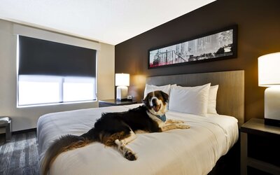 Hyatt House Atlanta Cobb Galleria