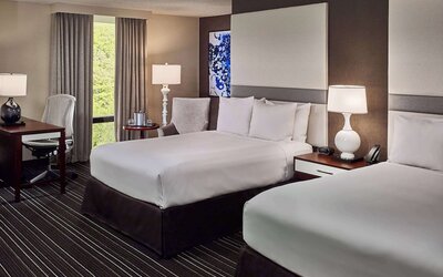Superior Suite, Multiple Beds