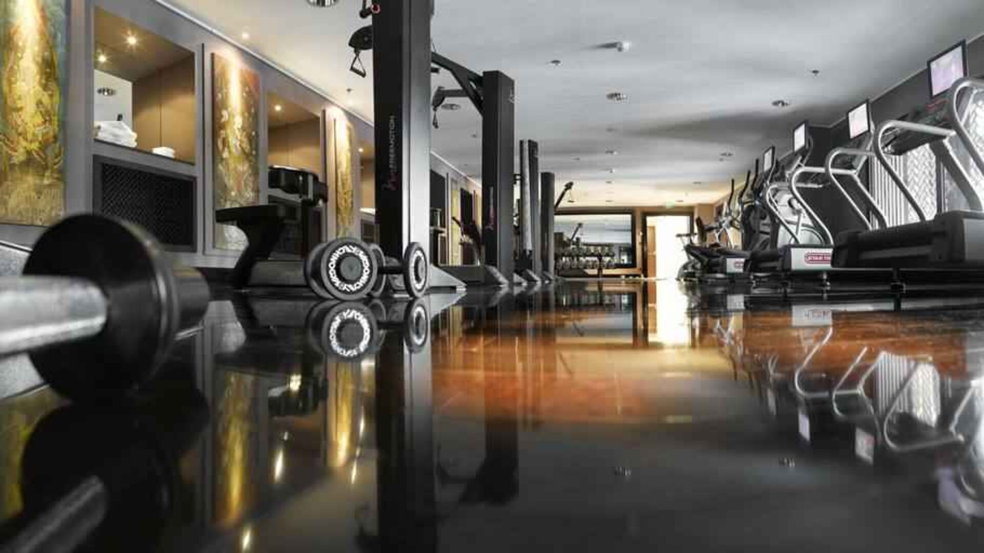 Fully equipped fitness center at the Hilton Evian-les-Bains.
