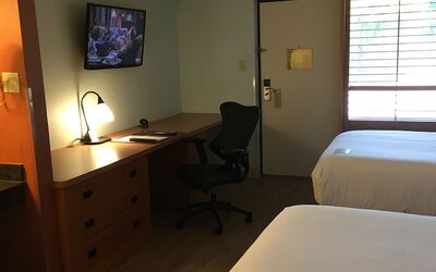Wyndham Garden Hotel Austin