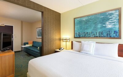 SpringHill Suites by Marriott Austin South