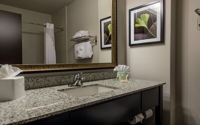 Holiday Inn Austin Airport by IHG