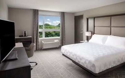 Holiday Inn Boston Logan Airport - Chelsea by IHG