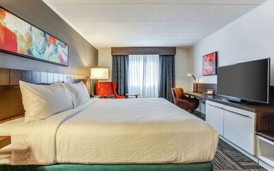 Hilton Garden Inn Boston/Waltham