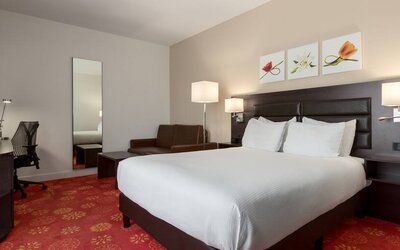 Queen room with desk and mirror at the Hilton Garden Inn Leiden.