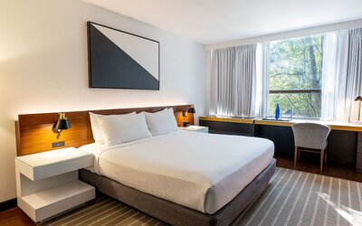 Studio, 1 King Bed, Mobility Accessible