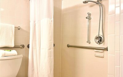Wyndham Lake Buena Vista – Disney Springs® Area