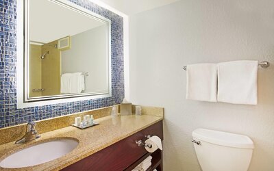 Wyndham Lake Buena Vista – Disney Springs® Area