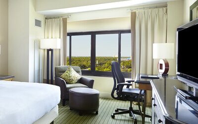 Hilton Orlando Lake Buena Vista - Disney Springs® Area