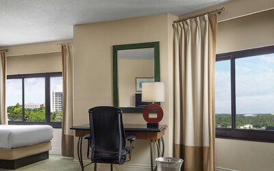 Hilton Orlando Lake Buena Vista - Disney Springs® Area