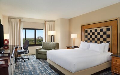 Hilton Orlando Lake Buena Vista - Disney Springs® Area