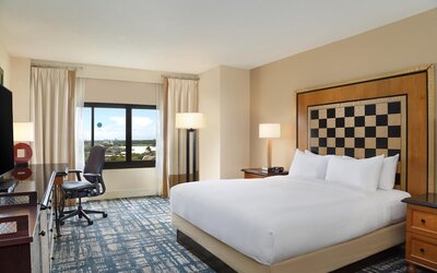 Hilton Orlando Lake Buena Vista - Disney Springs® Area
