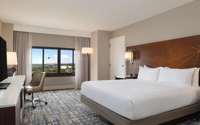Hilton Orlando Lake Buena Vista - Disney Springs® Area