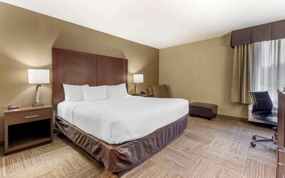Comfort Inn & Suites Sea-Tac Airport
