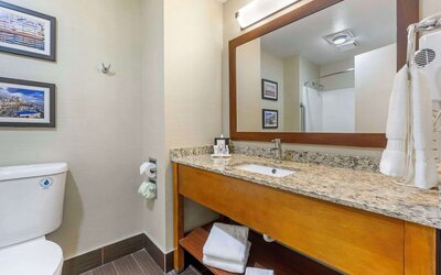 Comfort Inn & Suites Sea-Tac Airport