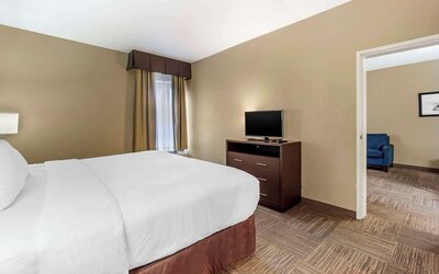 Comfort Inn & Suites Sea-Tac Airport