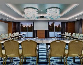 professional meeting and conference room at DoubleTree by Hilton Istanbul Topkapi.